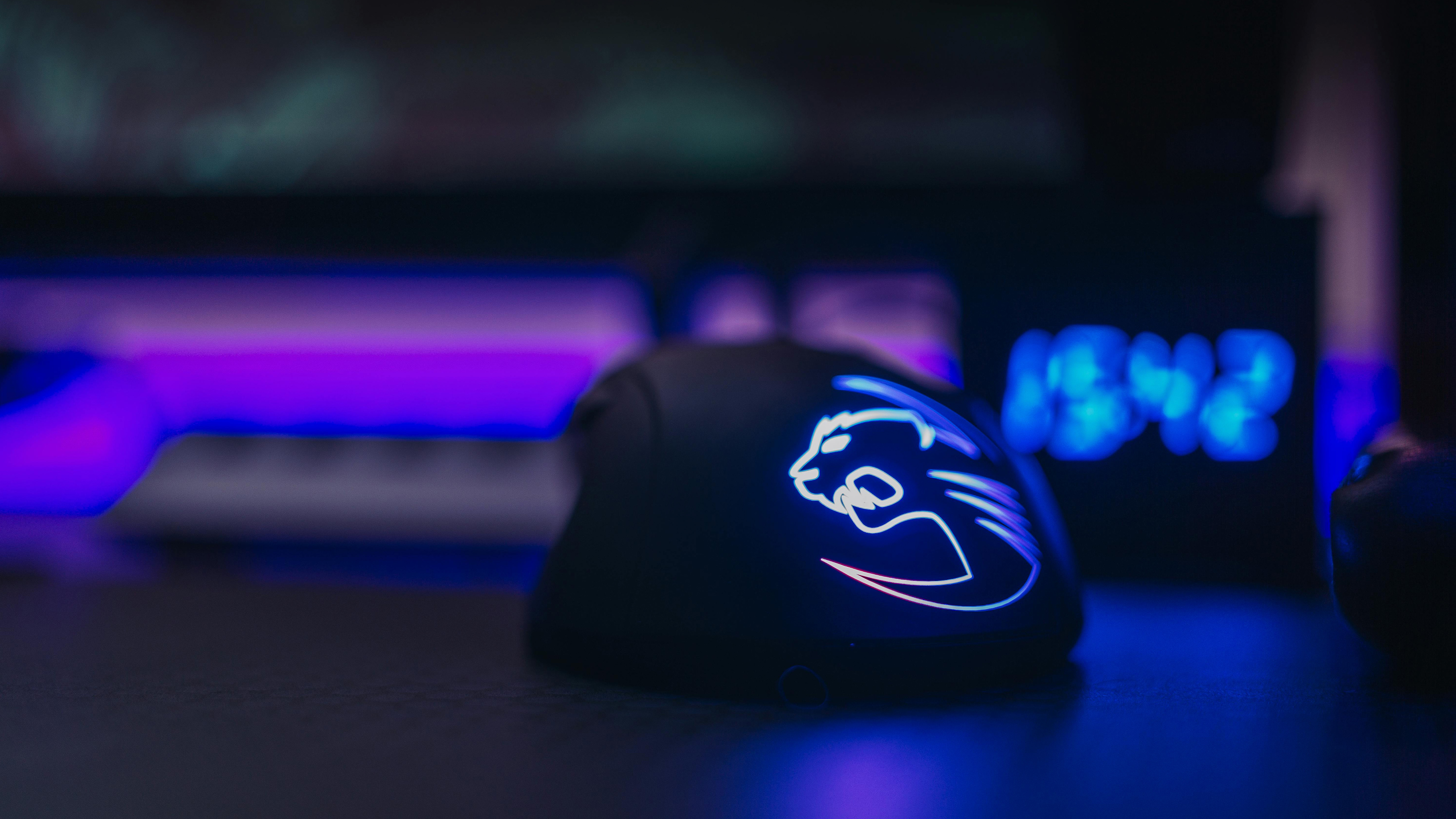 Mouse gamer